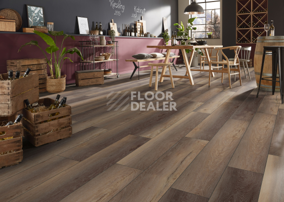 Ламинат Kronotex Exquisit 8мм d81002 Дуб Гнарренбург коричневый фото 3 | FLOORDEALER